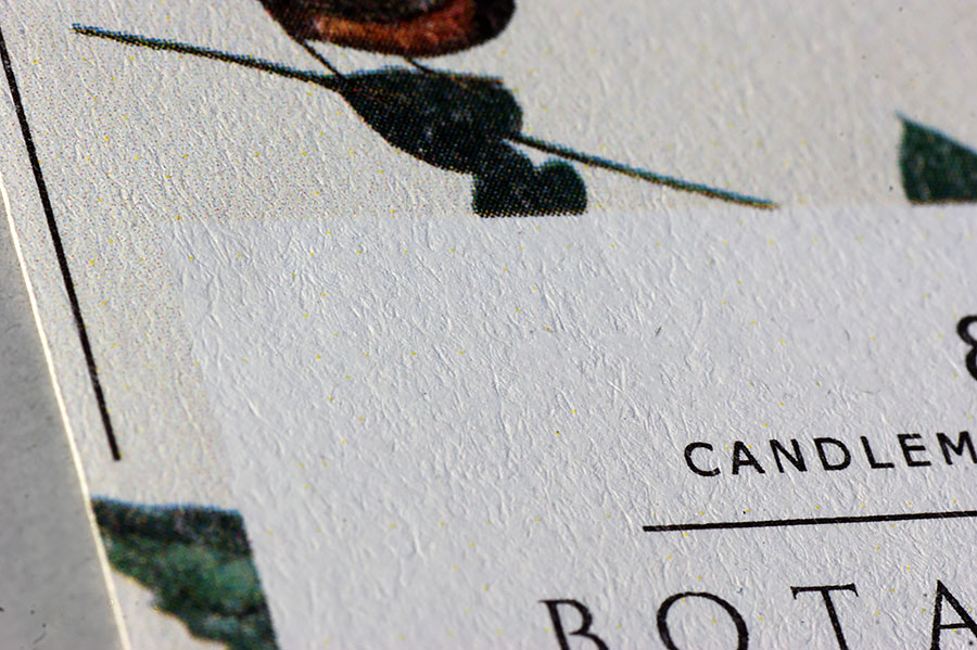 A-Textured-Paper-Label-closeup